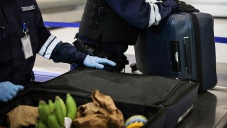 La cocaïne se « banalise » à La Réunion, et amène dans son sillage risques sur la santé et arrivées de réseaux criminels