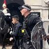 All the times tourists have angered the King's Guard - and the real reason for their severe reaction