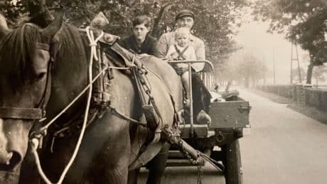 Als Kind auf dem Bauernhof - Wie ich lernte, woher Milch und Schnitzel kommen