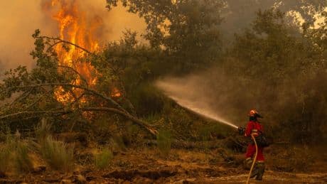 El campo seco y el calor extremo provocan incendios cada vez más destructivos: "La perspectiva es que vayan a más"