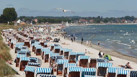 Hochsommerliche Temperaturen im ganzen Land erwartet