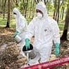 Warning over outbreak of killer ANTHRAX in holiday hotspot - 4 hospitalised and 1 dead
