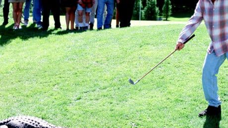 Morris, Alligator of ‘Happy Gilmore’ Fame, Dies at 80 (or More)