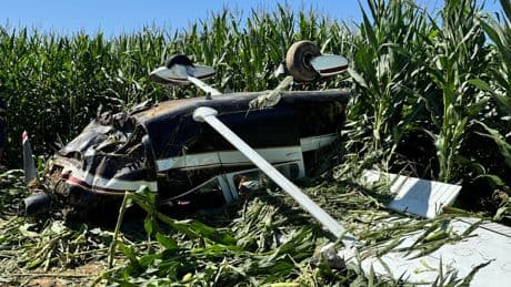 Pilot und seine Frau schwer verletzt - Flieger im Maisfeld abgestürzt