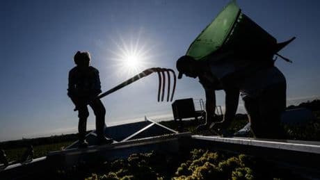 Taxes Trump : les vins et spiritueux attendent des éclaircissements sur l’accord commercial entre les Etats-Unis et l’Union européenne