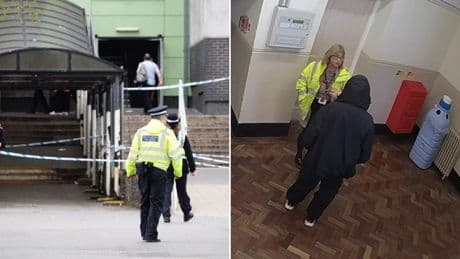 Schoolgirl, 13, who tried to kill teachers was fascinated with Hitler and weapons