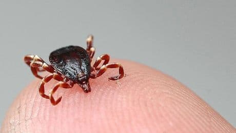 Kırıkkale'de 15 yaşındaki çocukta KKKA pozitif çıktı