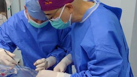 Transplantation in China: Mediziner transplantieren erstmals Schweinelunge in Hirntoten
