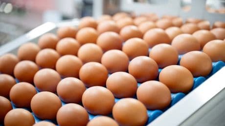 Nigella Lawson settles debate on best place to store eggs - but only in the UK