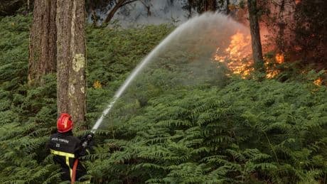 Feux de forêts: 11 départements en risque d'incendie "élevé" mercredi