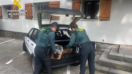 La Guardia Civil detiene a dos jóvenes por robo con fuerza en dos bordas de Aisa (Huesca)