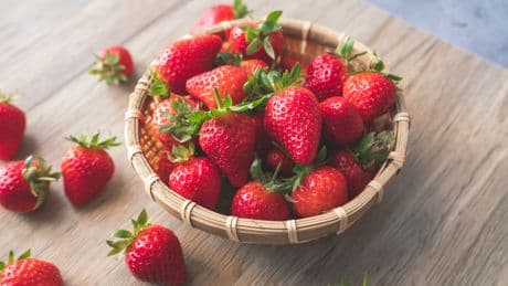 Im Beet: Neben dieser Pflanze sollten Sie Erdbeeren pflanzen