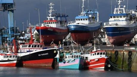 Fischerei: Welthandelsorganisation WTO beschließt Ende schädlicher Subventionen