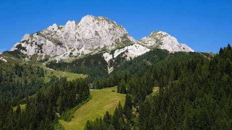Alpen in Österreich: Bürgermeister stürzt auf Klettersteig in den Tod