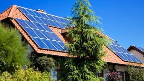 Baum wirft Schatten auf Solaranlage: Muss Stadt ihn zurückschneiden?
