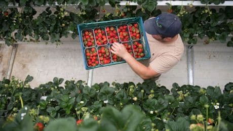 The bad news (and the good news) in the rise of inflation
