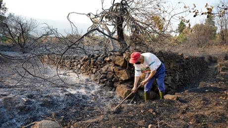 L’« Espagne du vide » face aux incendies : « J’avais l’impression d’une logistique de guerre »