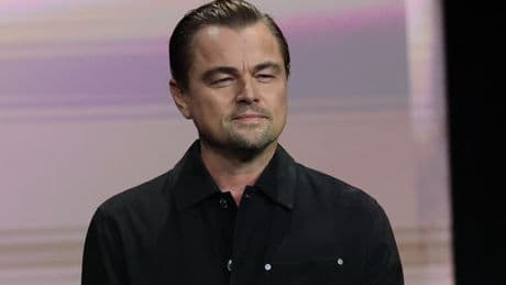 «Il s’intéressait aux moindres détails de ma vie» : victime d’un «faux» Leonardo DiCaprio, une Néerlandaise perd toutes ses économies