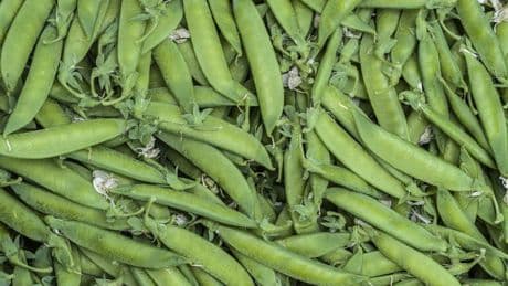 Las exquisitas lágrimas verdes de la Despensa D'Lujo