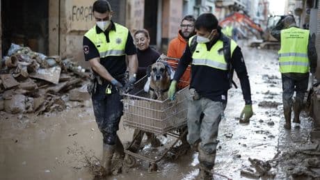 Proteger a nuestros animales ante desastres naturales: una prioridad creciente