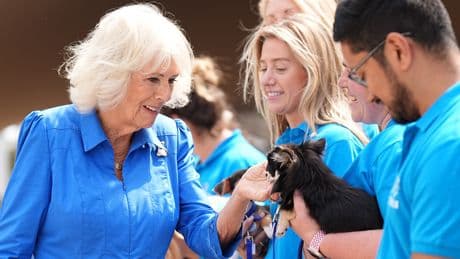 El broche perruno de la reina Camilla: oro de 18 quilates y 7.400 dólares