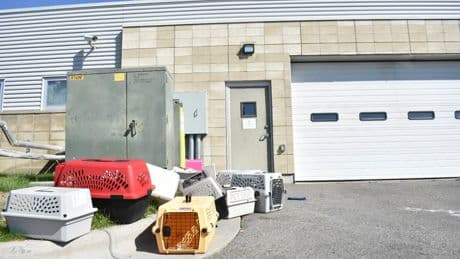 Animal shelter evacuated and staff hospitalised following meth burn mishap