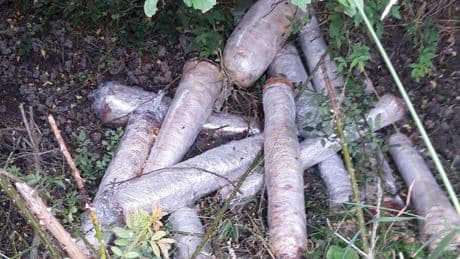 Die Polizei rückte sogar an - Rätsel um 40 Döner-Spieße im Wald