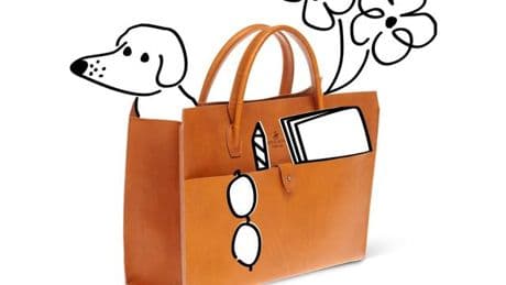 Endlich Platz in der Handtasche