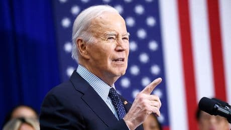 Lone Biden official breaks silence on cognitive decline as Cabinet stays mute
