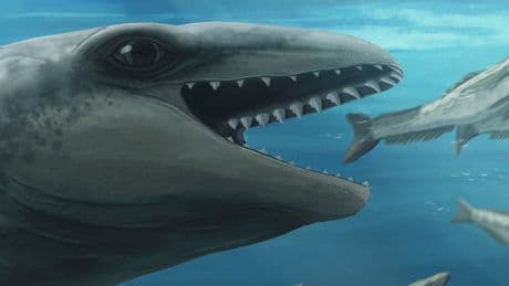 This prehistoric whale had razor teeth, bulging eyes and a face only evolution could love
