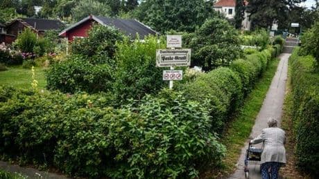 Rettung oder Verderben: Der wichtigste Tag der Kleingarten-Affäre