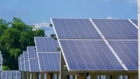 „Doppelt so groß wie der Ort selbst“: Einwohner entsetzt über Solarpark-Projekt in Hubenrode