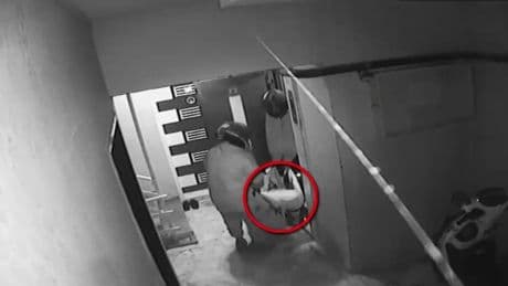 Görme engelli kadının servetine göz diken kişi yeğeni çıktı