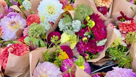Blumenversand im Test: Die besten Anbieter für den Muttertag