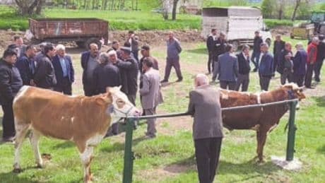 Fiyatlar yurttaşı bireysel kesim yerine bağış ve ortaklığa yöneltti: Kriz, geleneği değiştiriyor