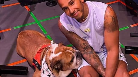 F1 stars’ pets from driver with THIRTEEN cats, a yacht-loving pooch, Hamilton’s Insta-famous bulldog and even a reindeer