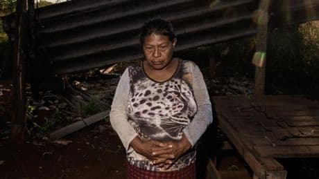 Au Brésil, les Guarani-Kaiowa en quête de leurs terres ancestrales : « On vit dans la peur, les Blancs nous tirent dessus »