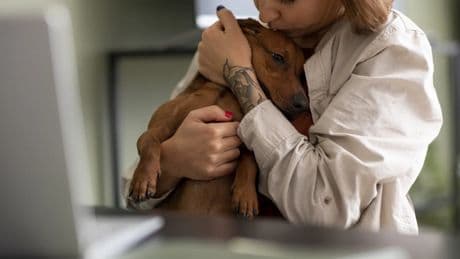 Perros contra el estrés, mucho más que compañía en los días malos