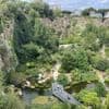 « C’est une friche où le temps pousse » : à Nantes, une ancienne carrière devenue jardin exotique
