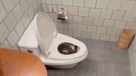Er wollte nur zur Toilette gehen - Mann erlebt Schock seines Lebens