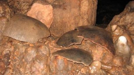 Skulls found in Guatemala ‘blood cave’ likely sacrificed to rain god in brutal Mayan ritual