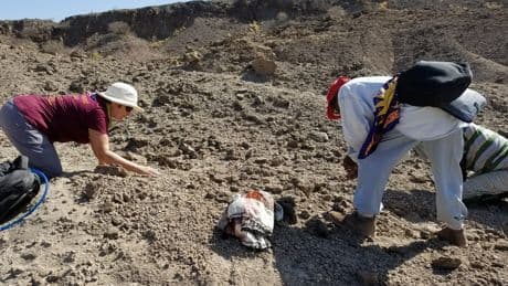 Un equipo científico anuncia el descubrimiento de una nueva especie vinculada al origen del ser humano