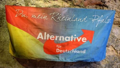 AfD-Verbot für Staatsdiener? Was der Staat von Beamten verlangen darf