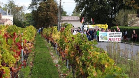 Santé : les voisins de vignes sont surexposés aux pesticides d’après l’Anses et Santé publique France
