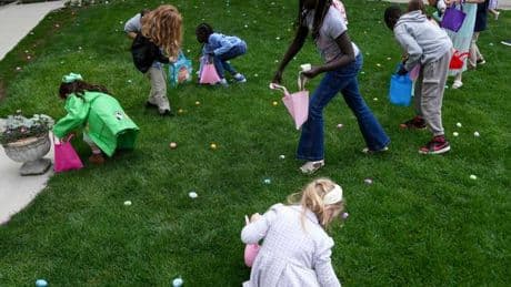Ostern und Eierkrise: Es heißt ja Oval Office