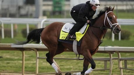 Journalism opens as 8-5 morning line favorite for 150th Preakness Stakes