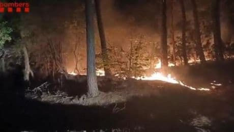 Un incendio forestal afecta a una zona de difícil acceso entre Amer y Susqueda