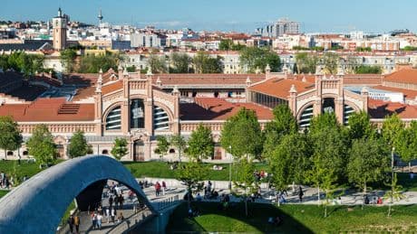 Cómo adaptar el espacio público a la crisis climática: estrategias de resiliencia urbana