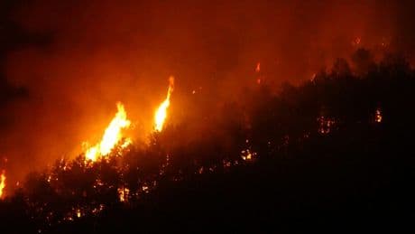 Kabus Eskişehir'den Afyonkarahisar'a sıçradı! Rüzgarın etkisiyle yangın yeniden büyüdü