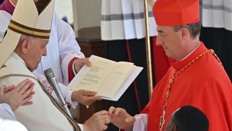 ¿Un Papa de Pamplona? El cardenal Bustillo, admirado por Francisco y por Macron, y un fenómeno mediático en Francia
